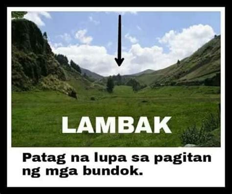 lambak in english|Meaning of lambak in English .